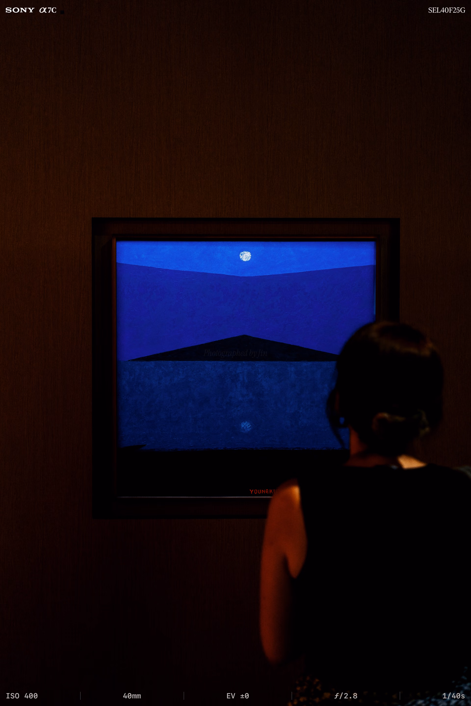 A night painting on a brown wall