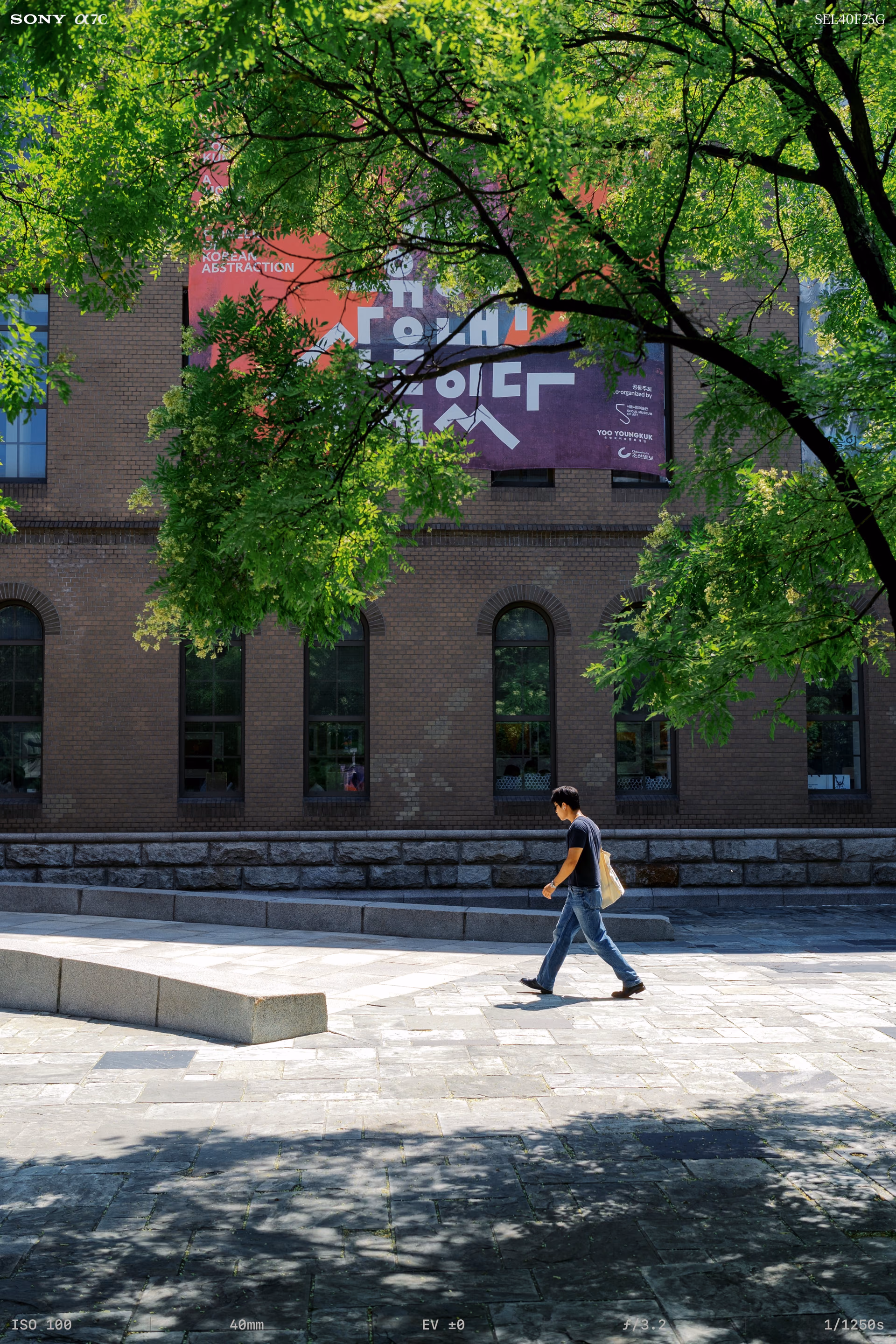 The museum and its banner seen through the leaves